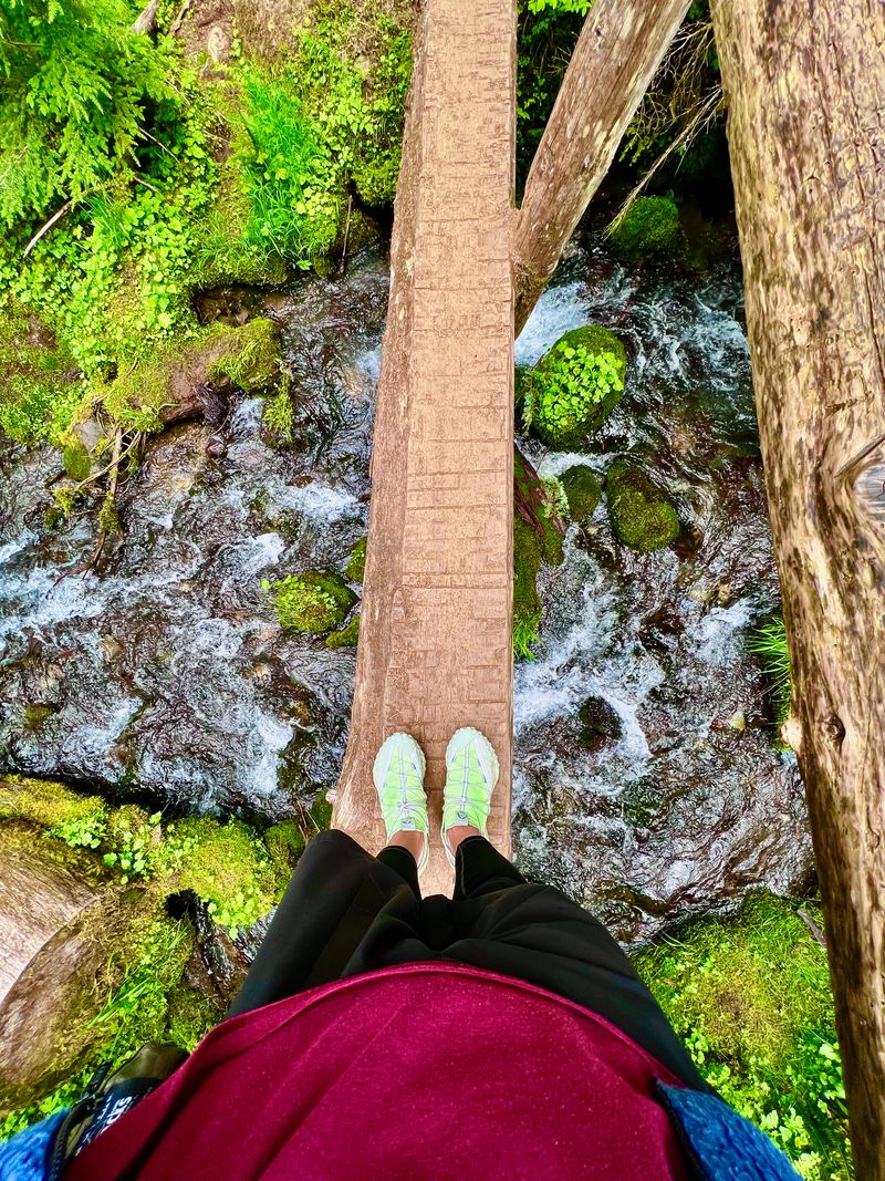 Admiring my shoes on a log bridge over a lush creek.