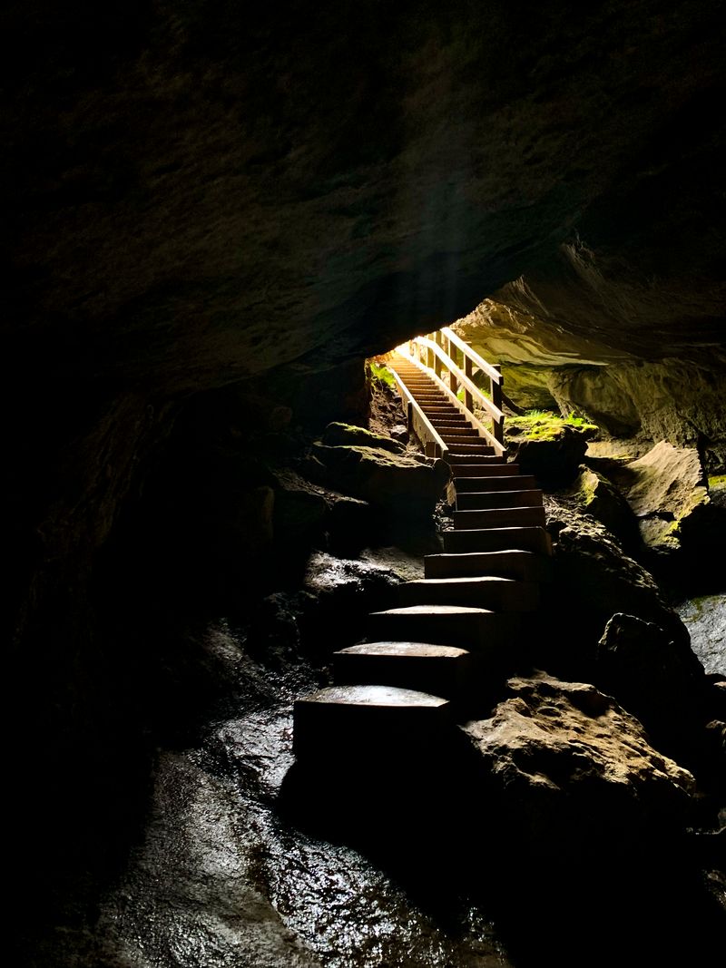 A stairway leading out of a dark cave toward bright sunlight.
