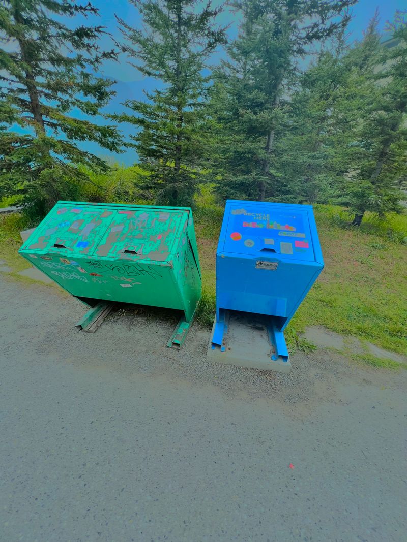 Two dumpsters in the middle of the woods. Unparalleled vibe.