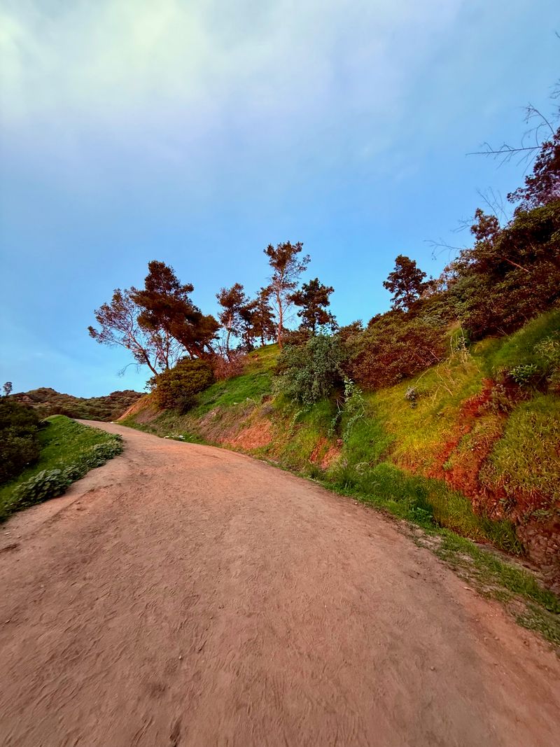 Another path through Griffith.