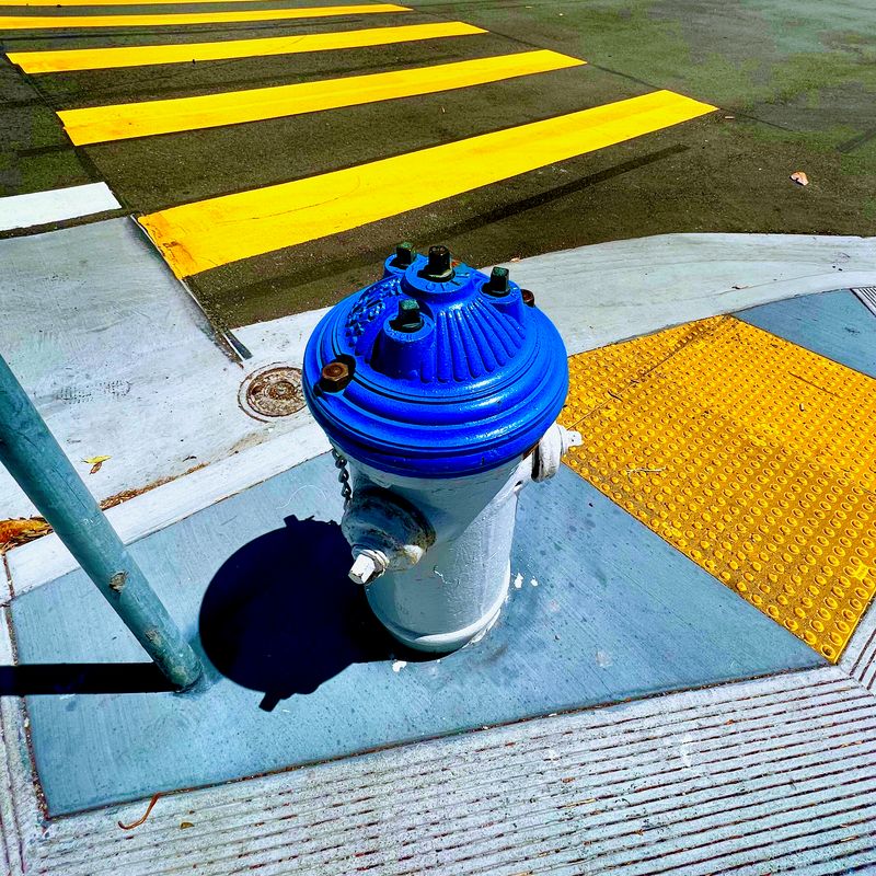 A blue-capped fire hydrant planted within the textures of crossing the street.