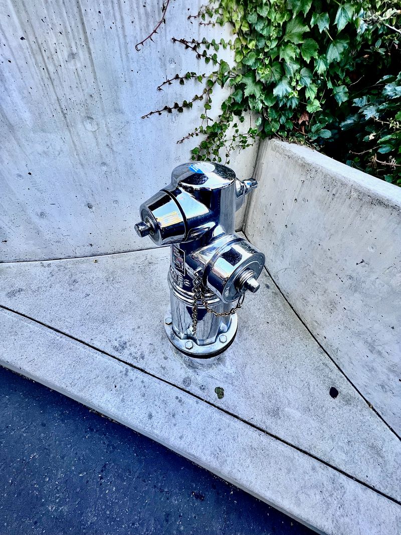 A chrome fire hydrant emerging from angular concrete.