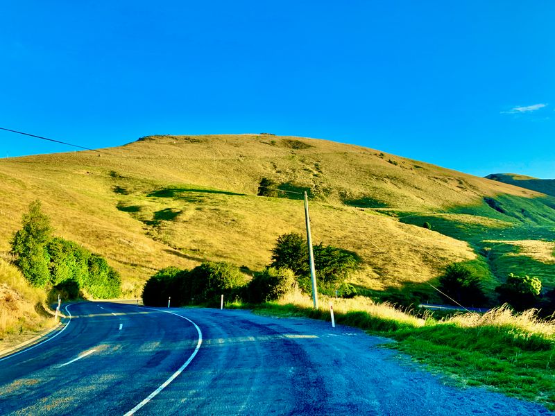The rolling hills of New Zealand.